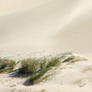 Akoestisch schilderij AdiPhoto - Beach